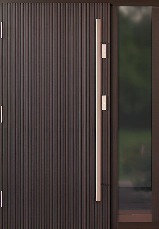 Top and Side Lights Door