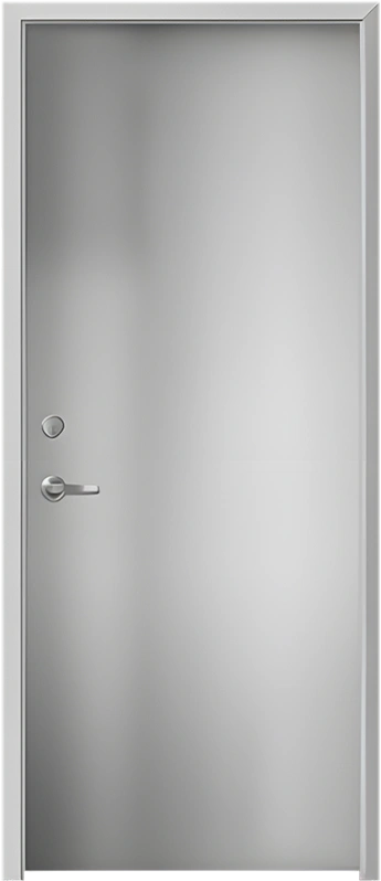 Flush Door
